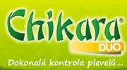 Přejít na článek